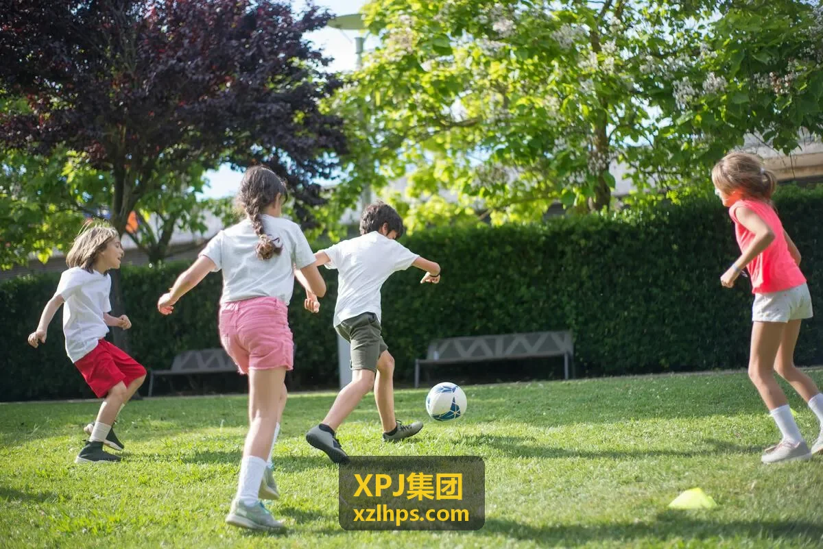 XPJ集团工业背景