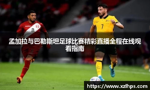 星空电子官网