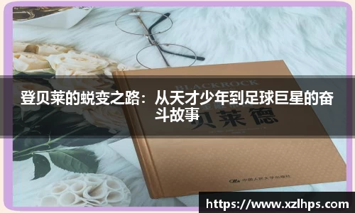 星空电子官网